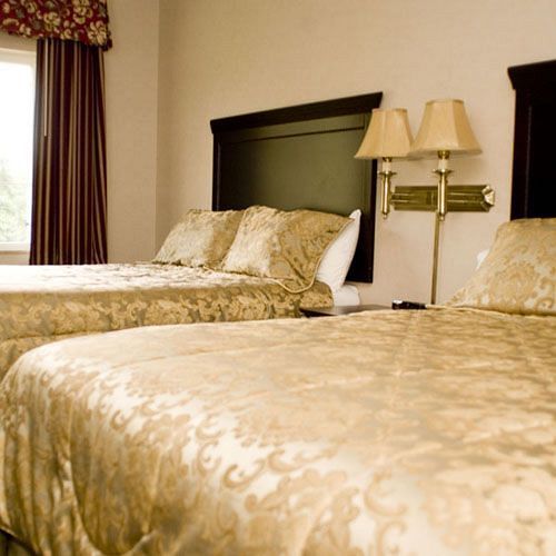 Super 8 By Wyndham Albany Motel Room photo