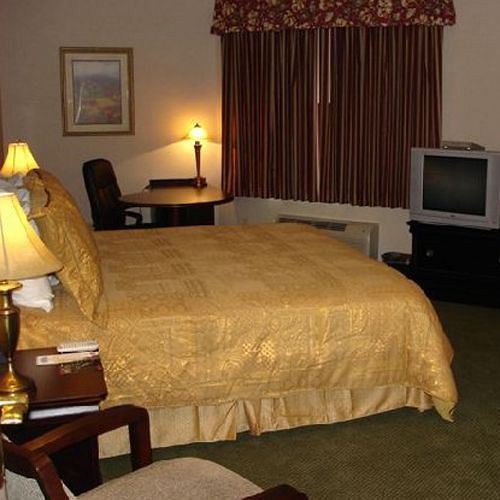 Super 8 By Wyndham Albany Motel Room photo